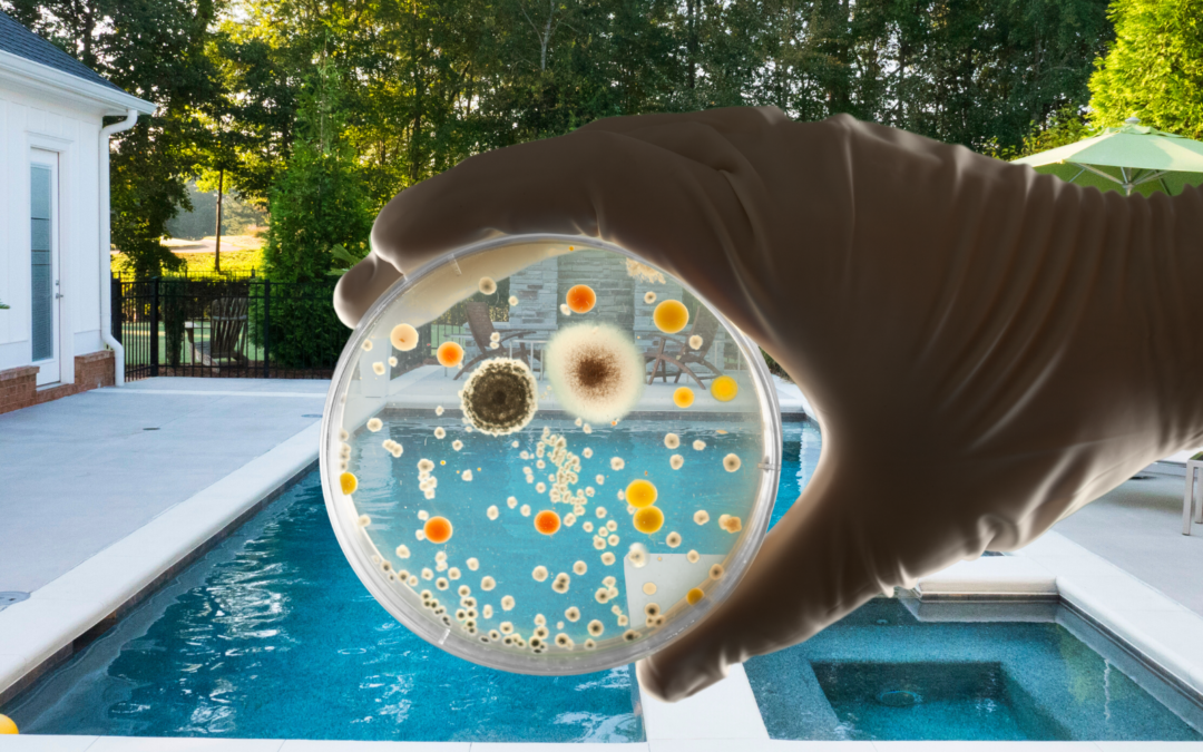 The Importance of Regularly Testing Pool Water for Bacteria